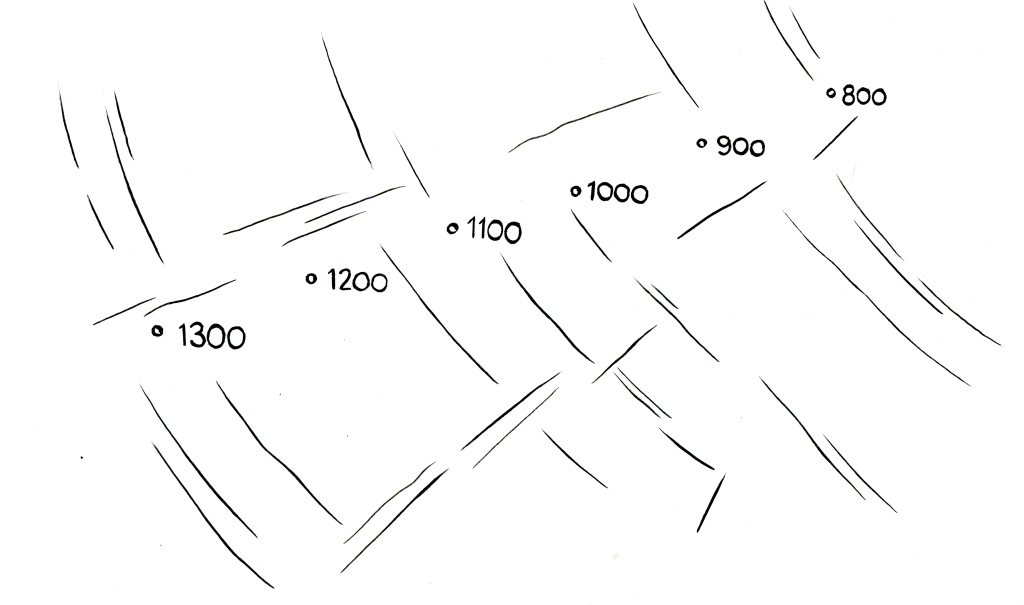 A close-up of the Twain Tree cross-section shows centuries written to correspond with tree rings, spanning the year 800 to the year 1300.