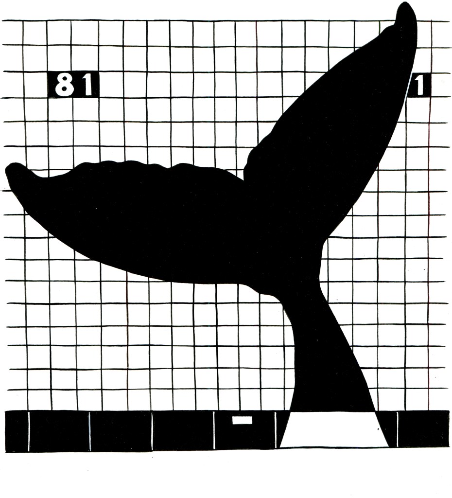 A tile mosaic shows a whale tail and the number "81," designating the subway stop for the American Museum of Natural History in New York.