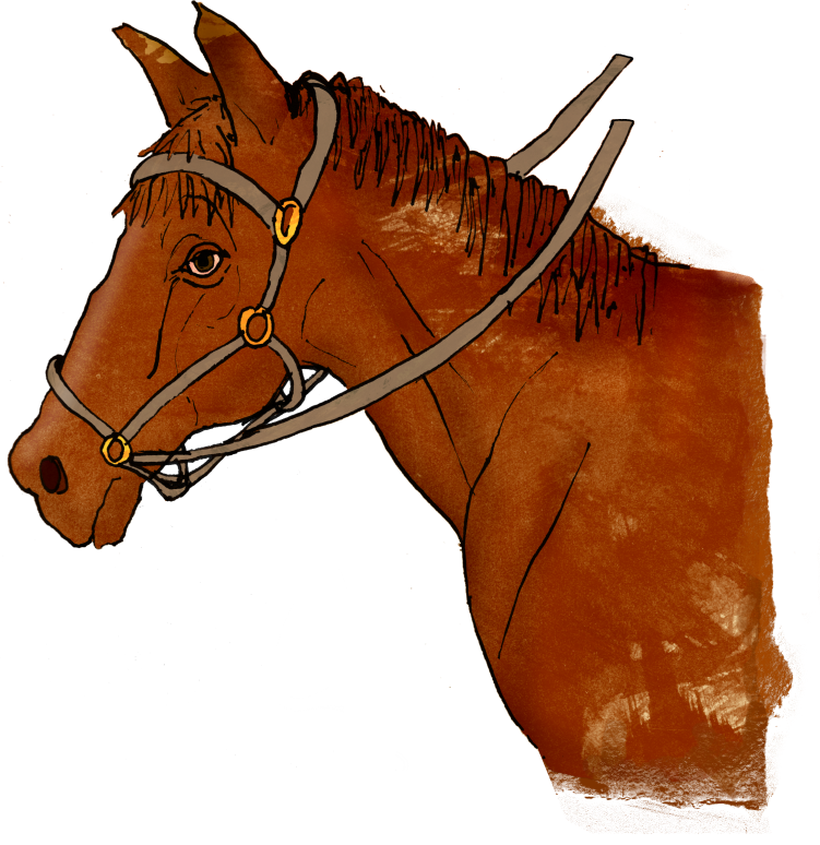 An illustration of a brown horse’s head and neck, wearing a bridle with reins, against a plain white background.