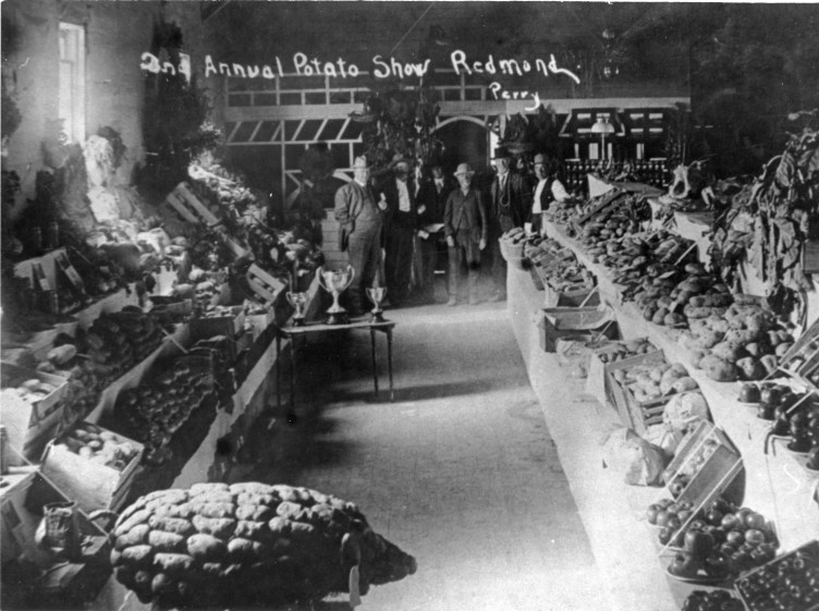 An old black-and-white photograph of many bundles of potatoes, a table with three trophies on it, and a group of men in three-piece suits and hats posing for the camera. Someone has written on the photograph, “2nd Annual Potato Show Redmond.”