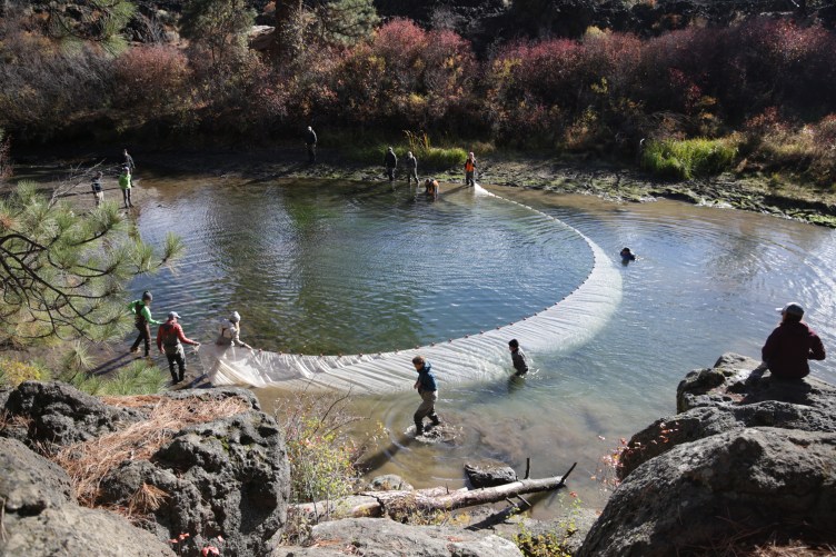 A group of people stand next to or immersed in a large body of water, dragging a net that extends from one bank of the river to the other.