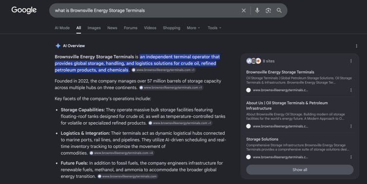 A Google search of “what is Brownsville Energy Storage Terminals” reveals a long “AI Overview” response.
