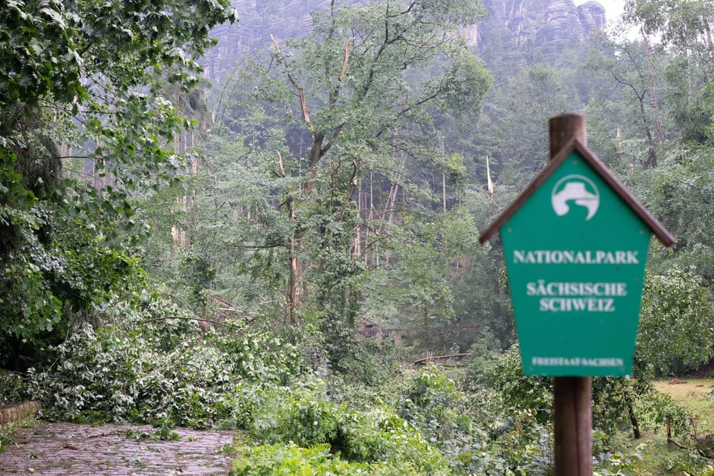 Storm damage in Amselgrund in the Saxon Switzerland National Park. Photo: dpa Storm damage in Amselgrund in the Saxon Switzerland National Park. Photo: dpa