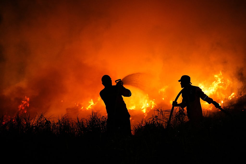 Firefighters spray water in an attempt to extinguish a wildfire in Indonesia’s South Sumatra province on Friday. Photo: Reuters Firefighters spray water in an attempt to extinguish a wildfire in Indonesia’s South Sumatra province on Friday. Photo: Reuters