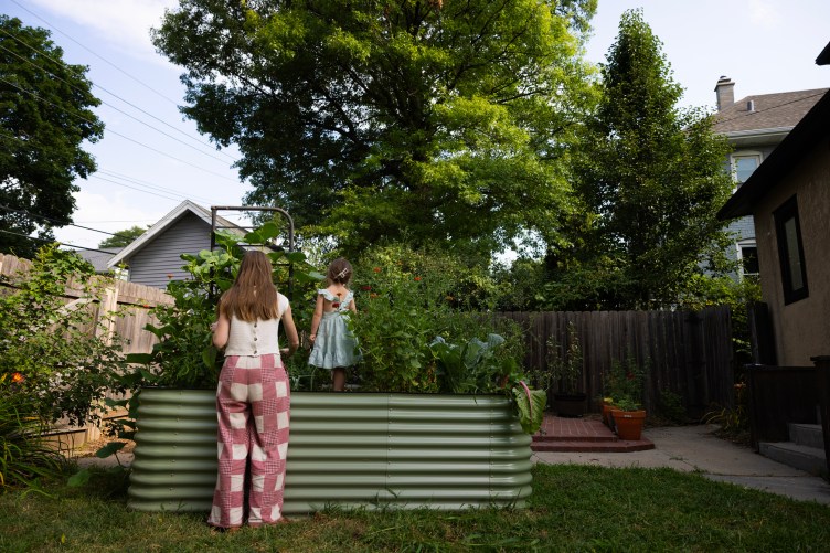 A woman in checkered pants and a toddler wearing a blue dress stand outside with their backs to the camera. The woman is standing over a tank filled with plants, and the toddler stands in the tank. The backyard has a green lawn, brown wooden fence and potted plants. Trees, other houses and power lines can be seen beyond the fence.