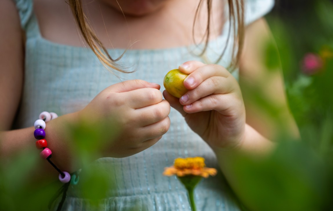A toddler wearing a blue dress and a beaded bracelet holds a yellow tomato. She is surrounded by leaves and flowers that are out of focus.