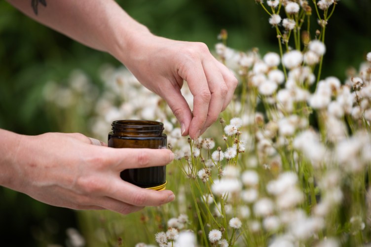 A pair of hands hold a brown glass jar and pick small white flowers.