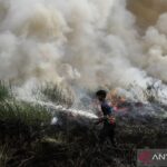 Indonesia’s Fire This Time