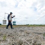 El Niño changes Southeast Asia’s power sector trajectory