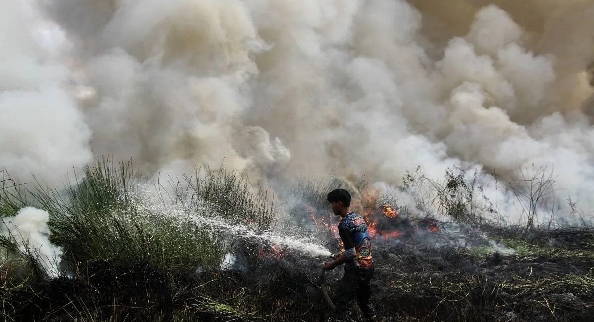 Indonesia’s Fire This Time